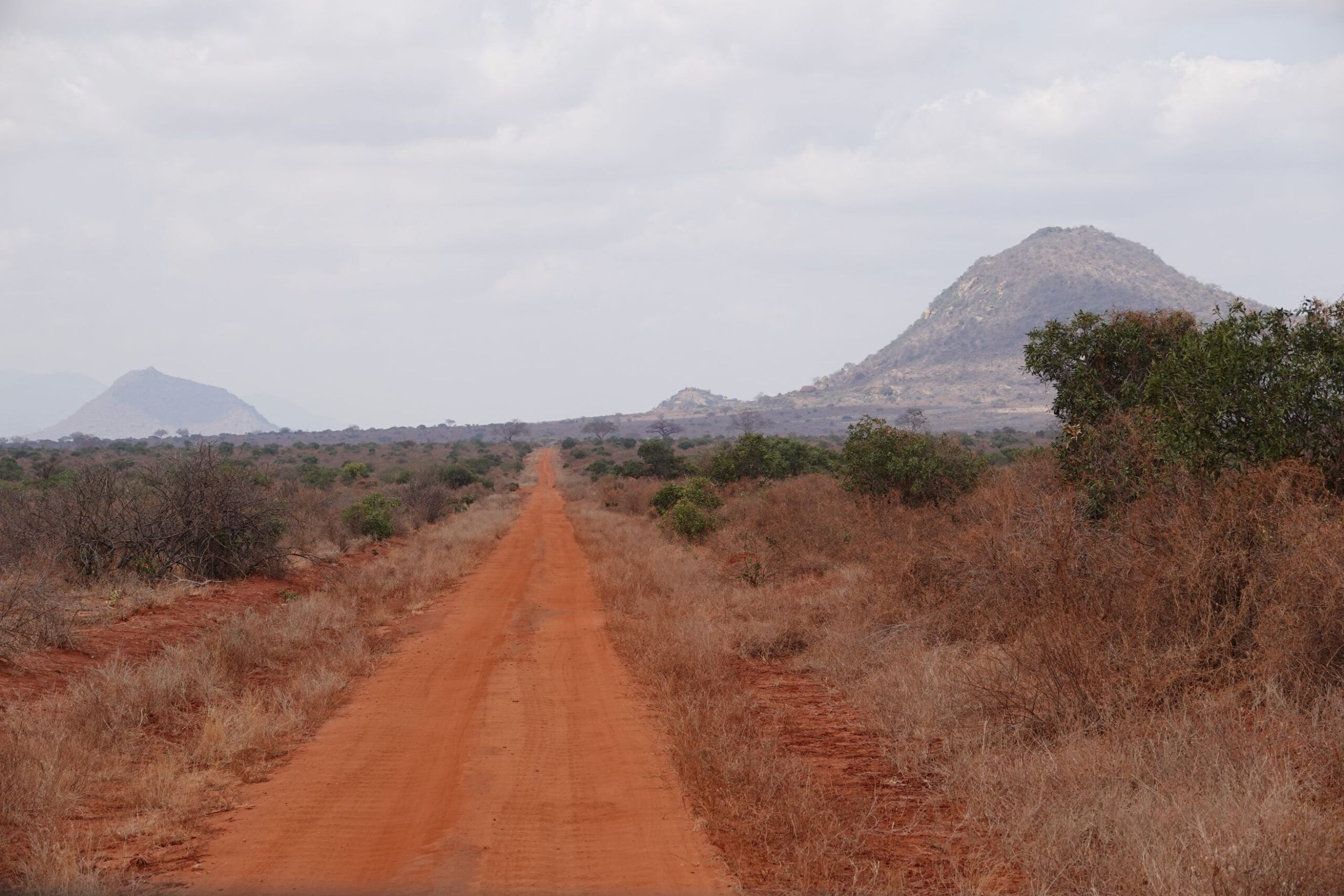 Trajet du sanctuaire animalier de Taita Hills au parc national de Tsavo Ouest