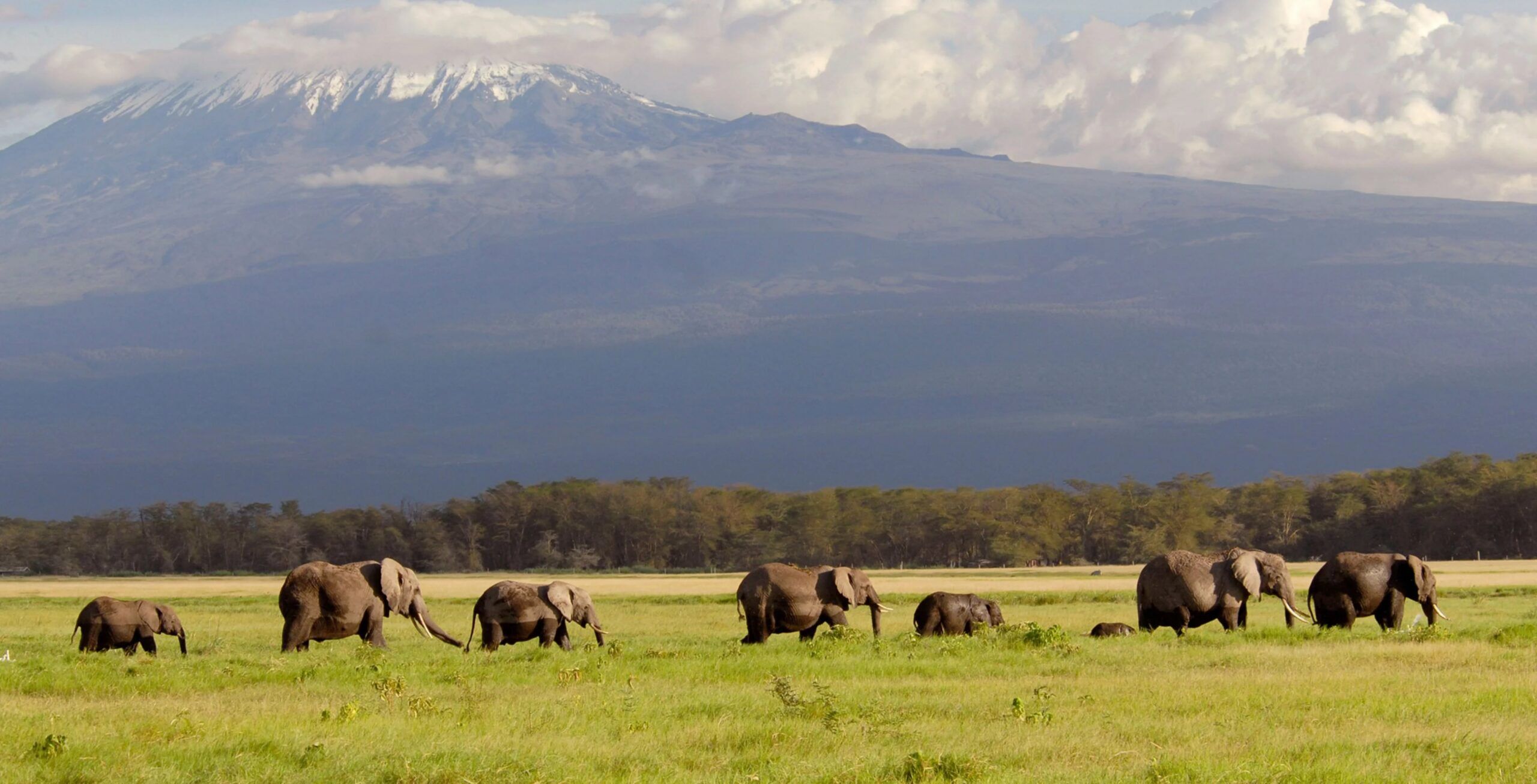 Parc national d'Amboseli