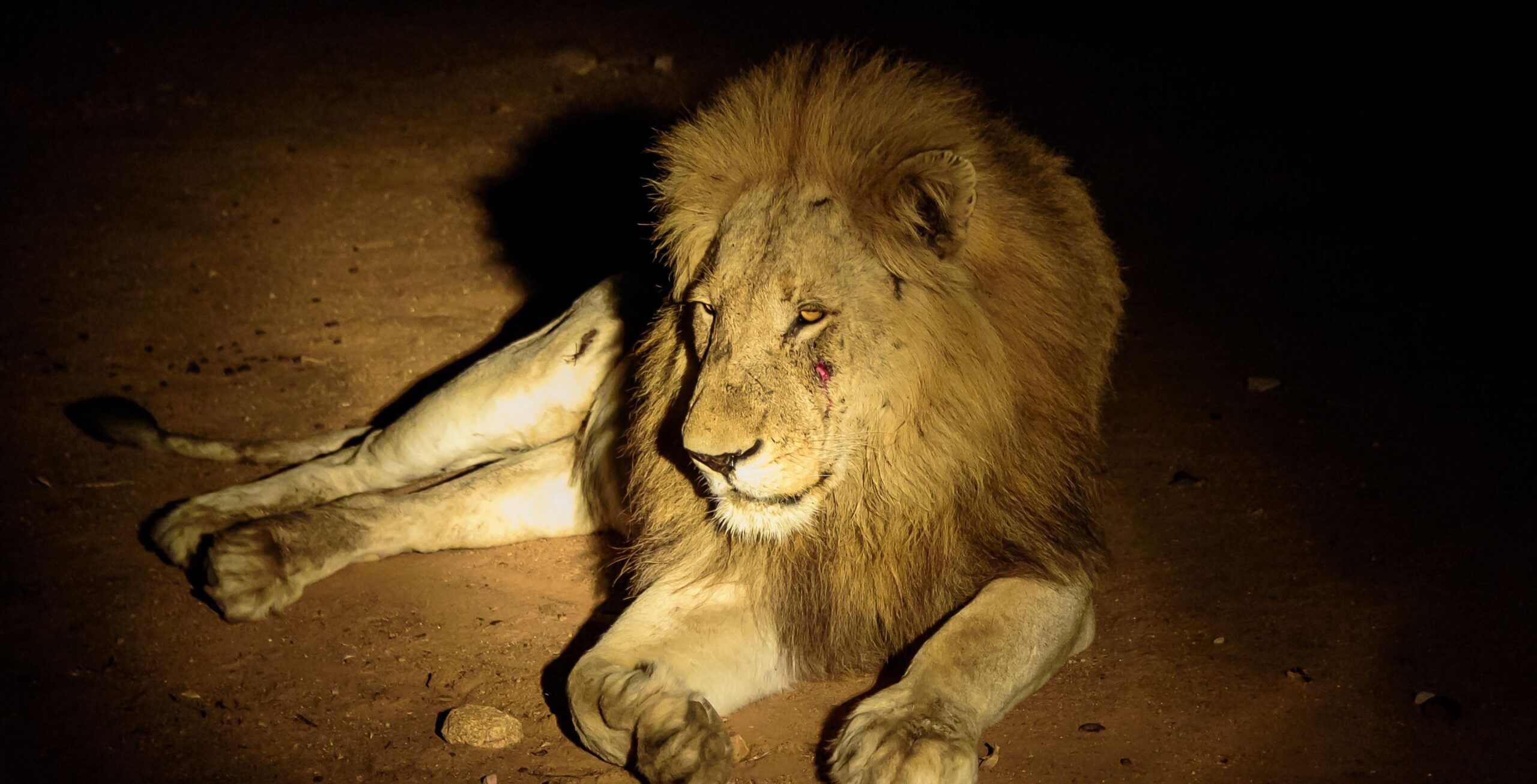 Taita Hills Wildlife Sanctuary et zone de conservation de LUMO