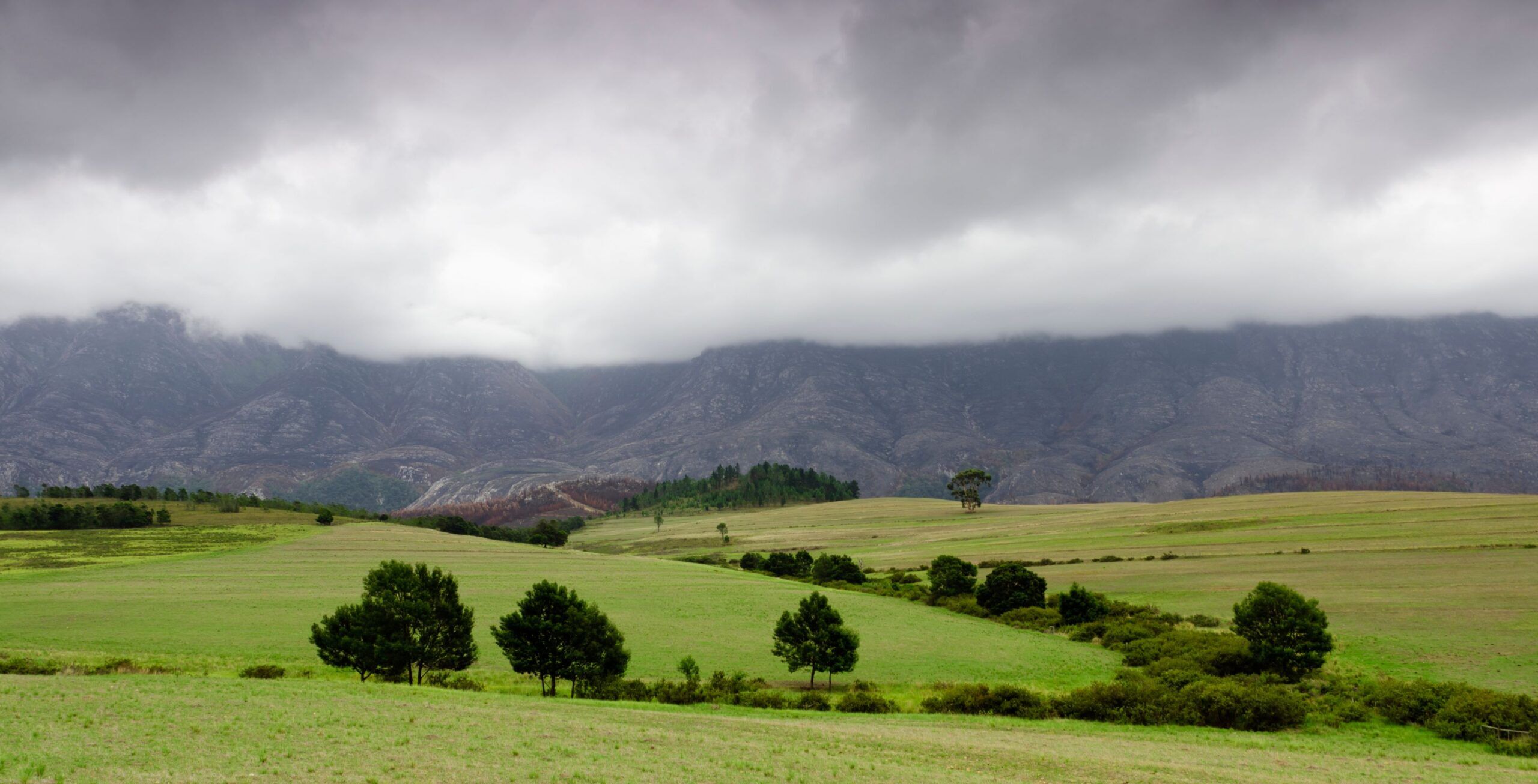 Trajet du Cap à Swellendam