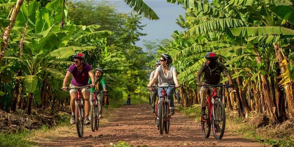 Un groupe de personnes à vélo, qui pédalent dans une forêt tropicale d'Afrique de l'Est.