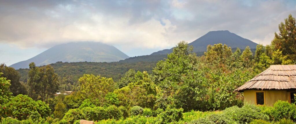 montagne et forêt tropicale ougandaise