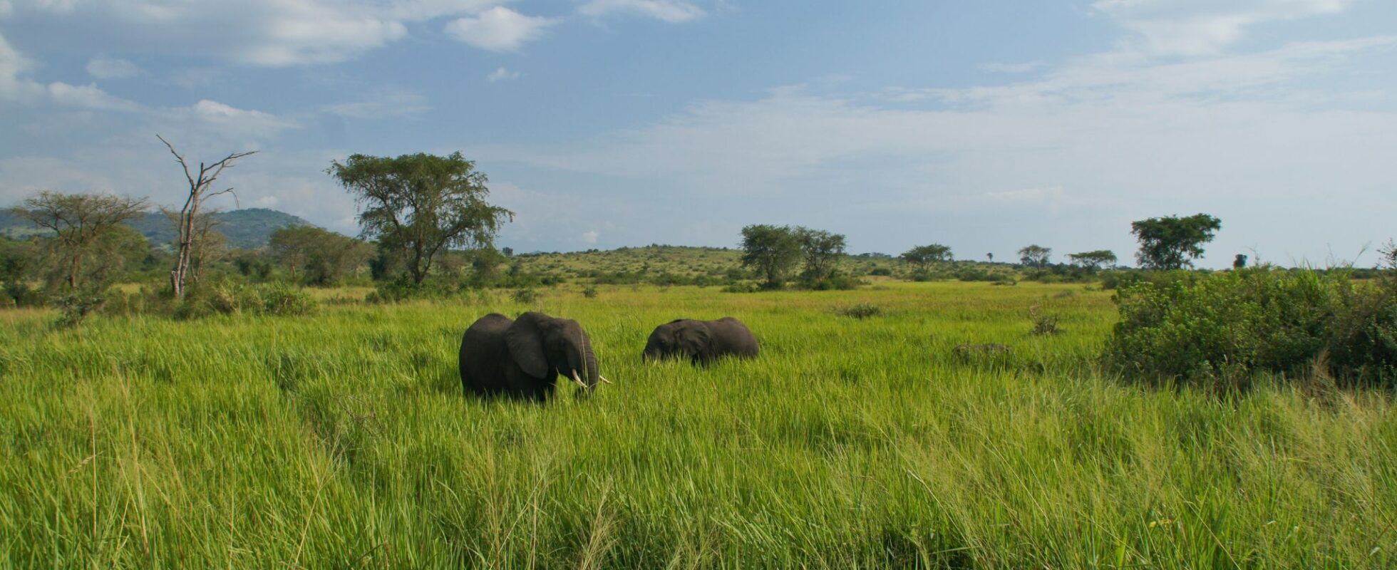 Queen Elizabeth Uganda NP Uganda