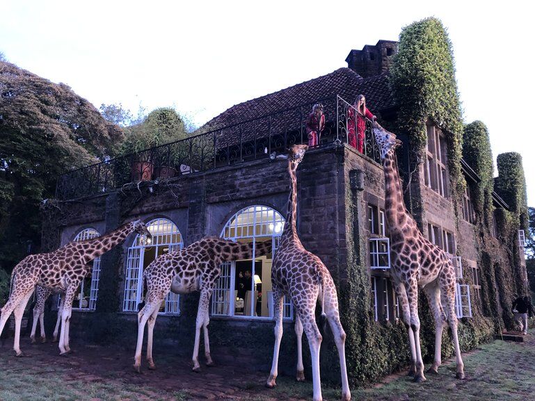 Le manoir des girafes au Kenya, parfait pour les enfants !