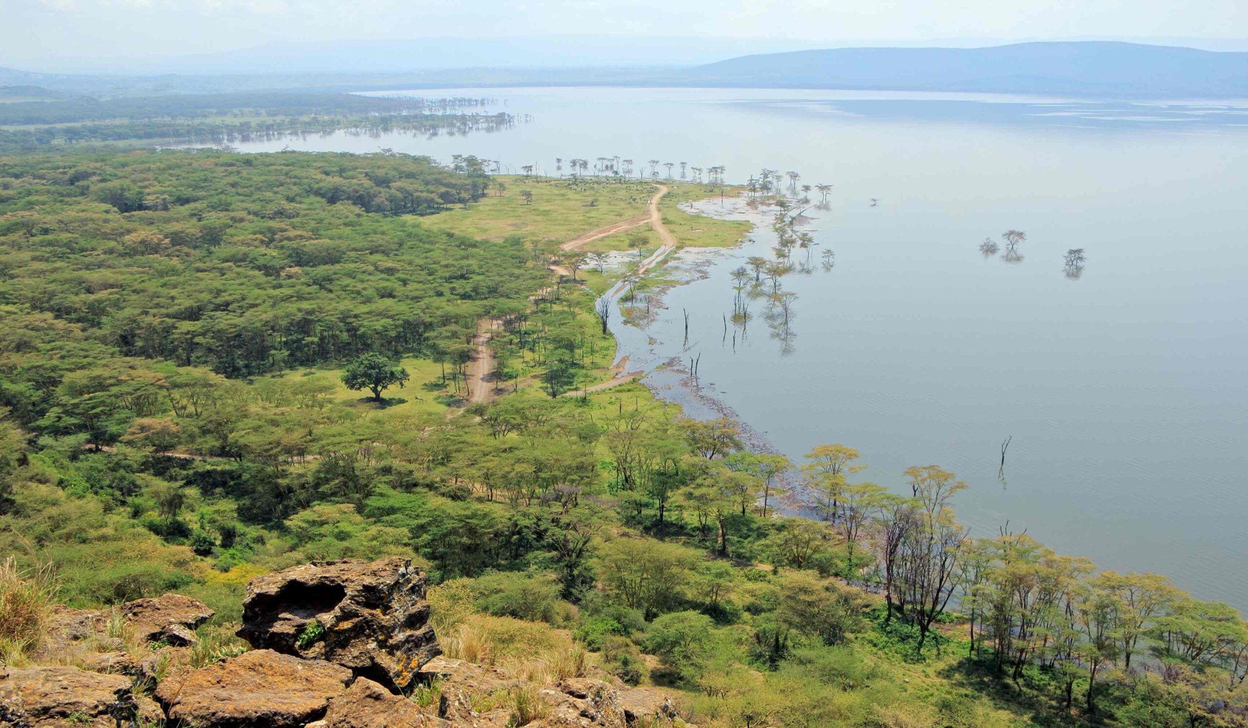 Parc national du lac Nakuru