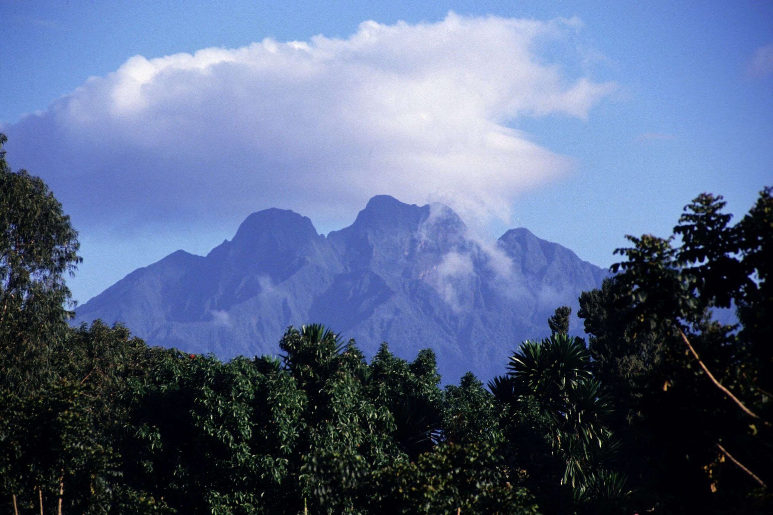 Randonnée sur le volcan Sabinyo dans le parc national de Mgahinga