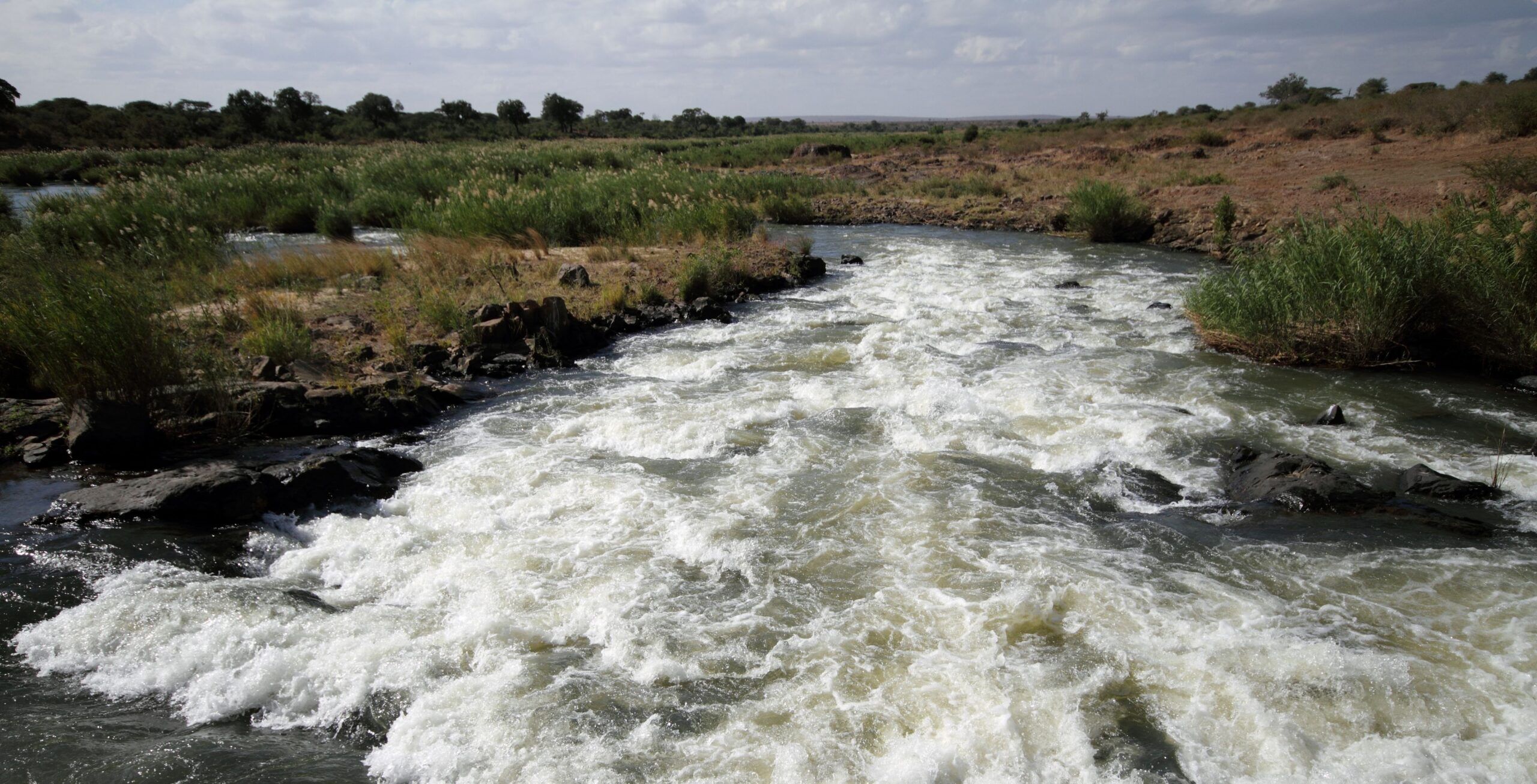 Trajet de Johannesburg à Graskop via la rivière Sabie (Hazyview)