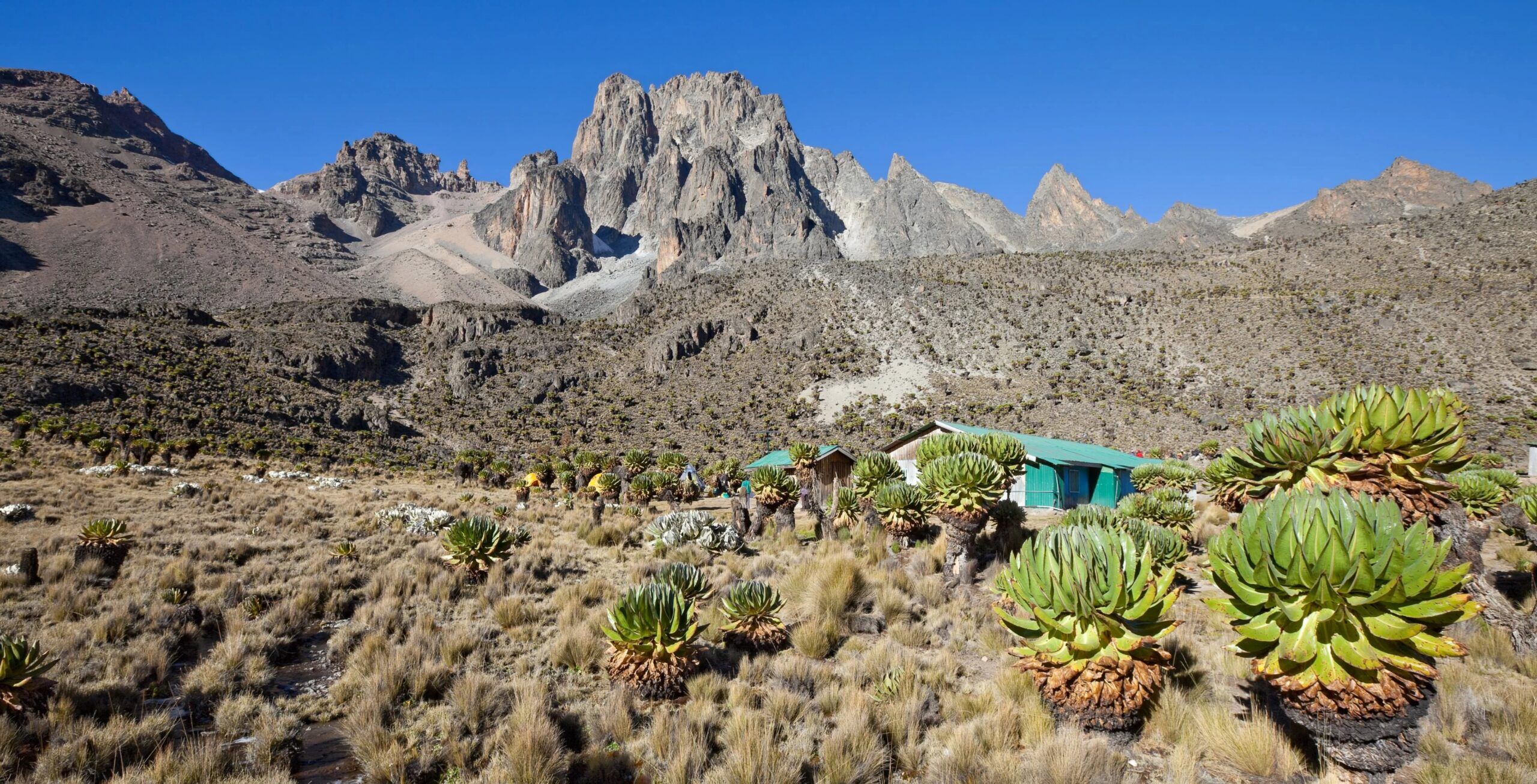 Route Sirimon en 5 jours, Jour 2 : Camp Old Moses (3 300 m) - Camp Shiptons (4 200 m)