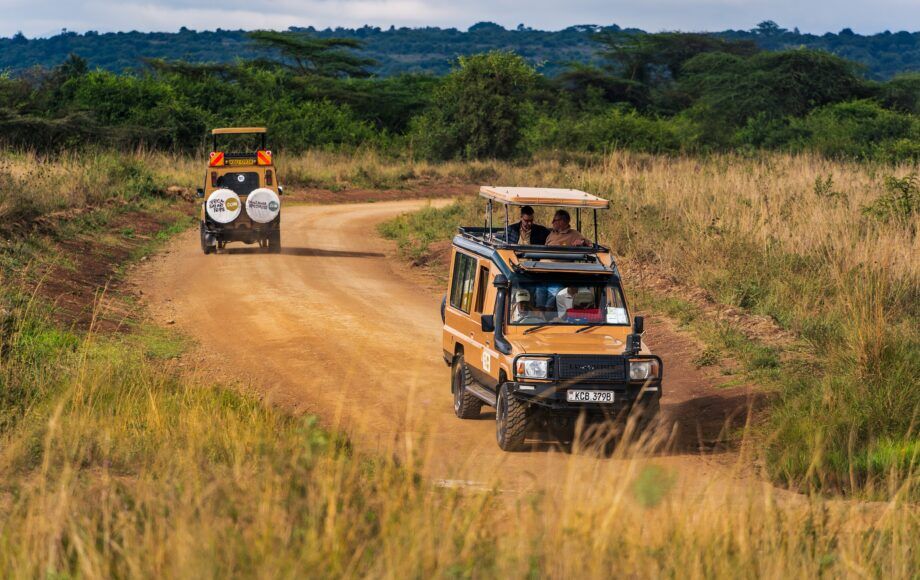Jeep de Safari en Afrique