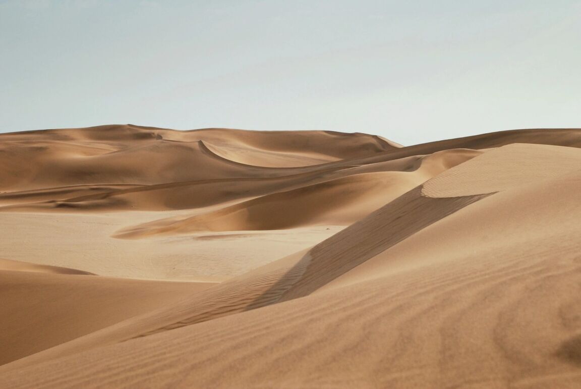 Dunes de sable ondulantes du désert du Namib sous un ciel dégagé.