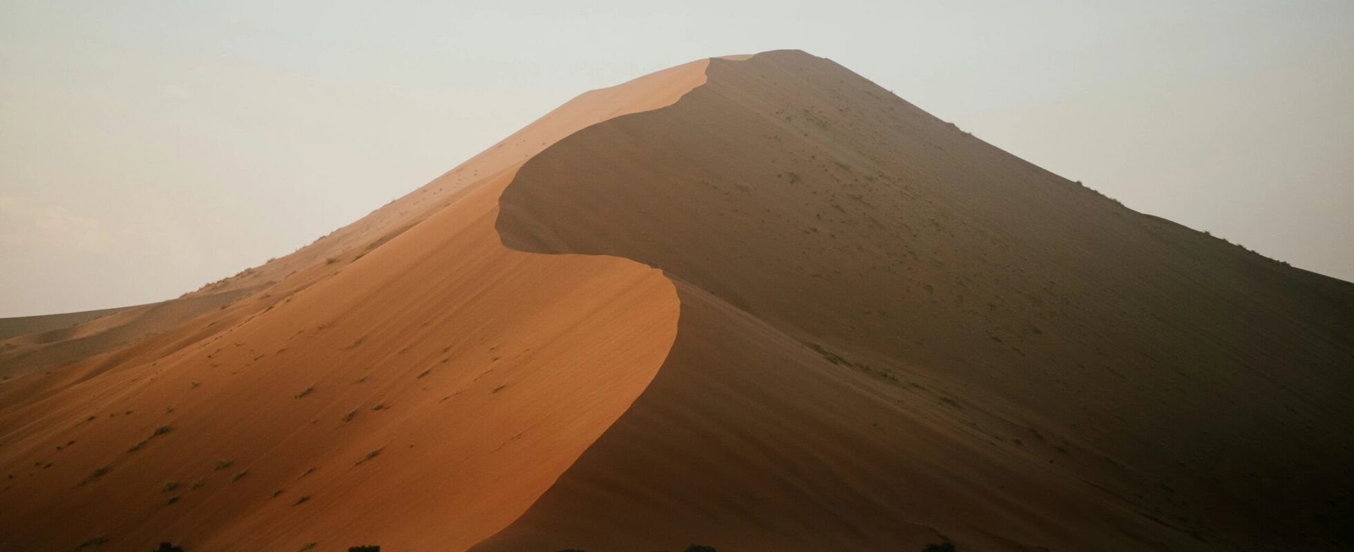 Les courbes sinueuses et les ombres marquées d'une dune de sable rouge à Sossusvlei, Namibie.