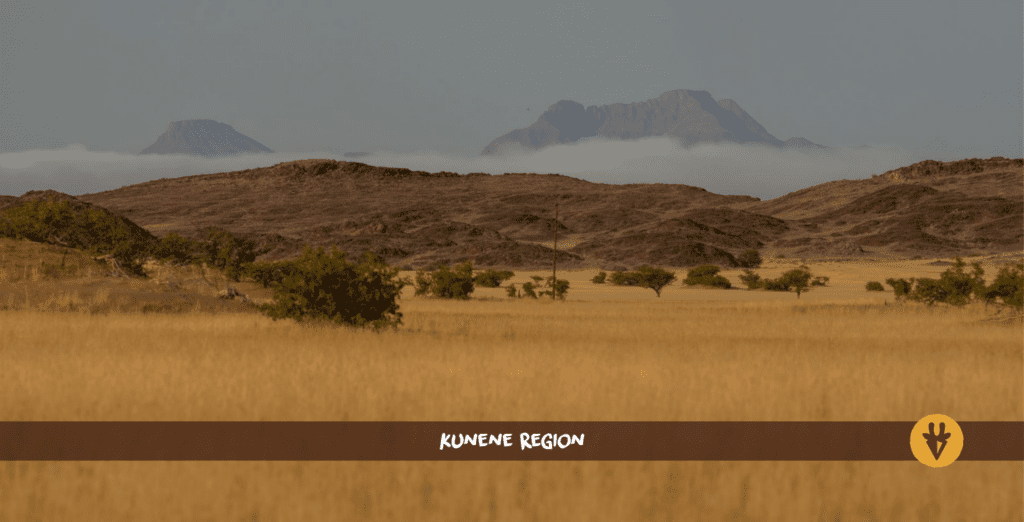 Kunene Region of Namibia with high yellow grass in front and mountains in the back
