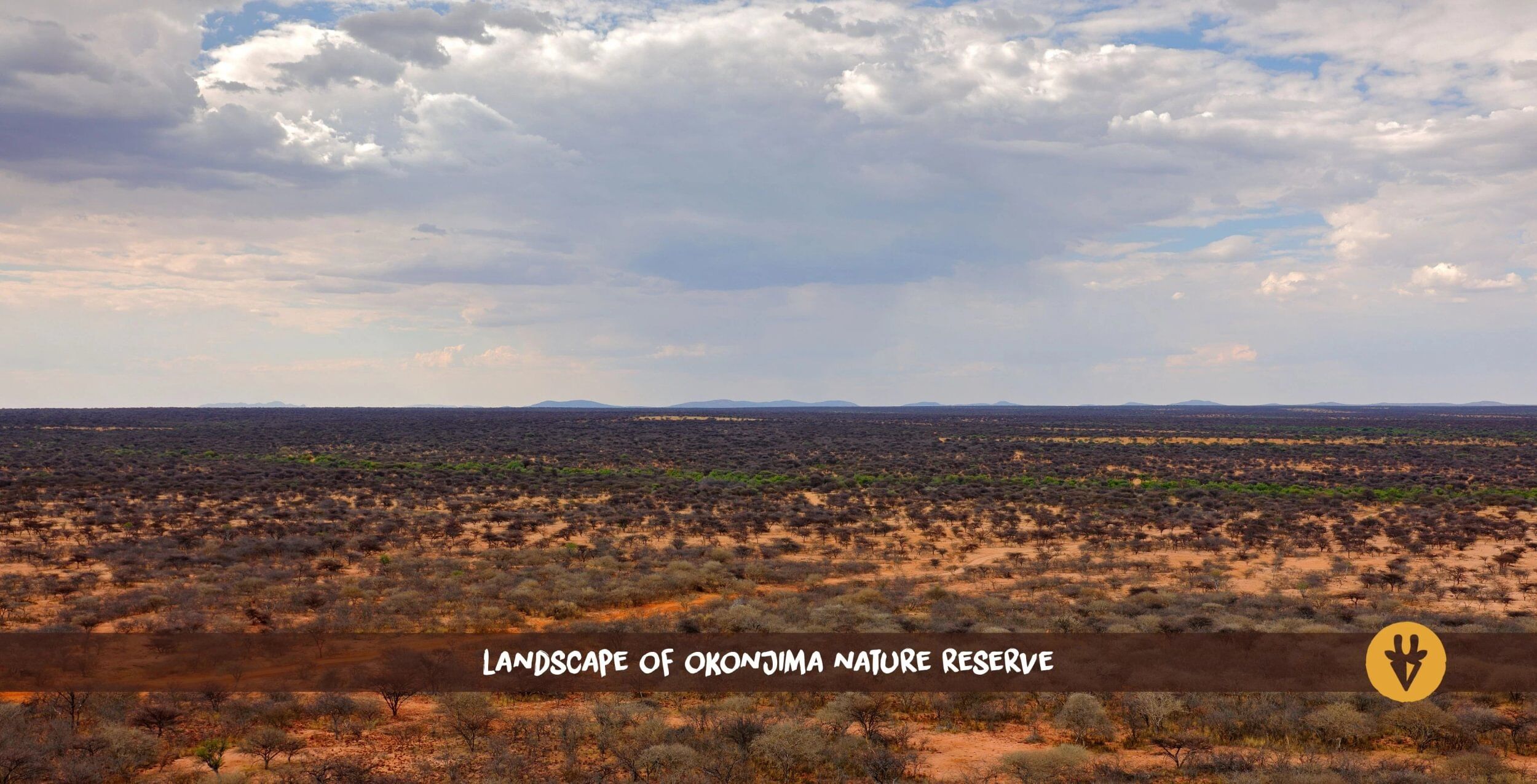 Vue panoramique aérienne sur la réserve naturelle d'Okonjima en Namibie, couverte d'arbustes et d'arbres.