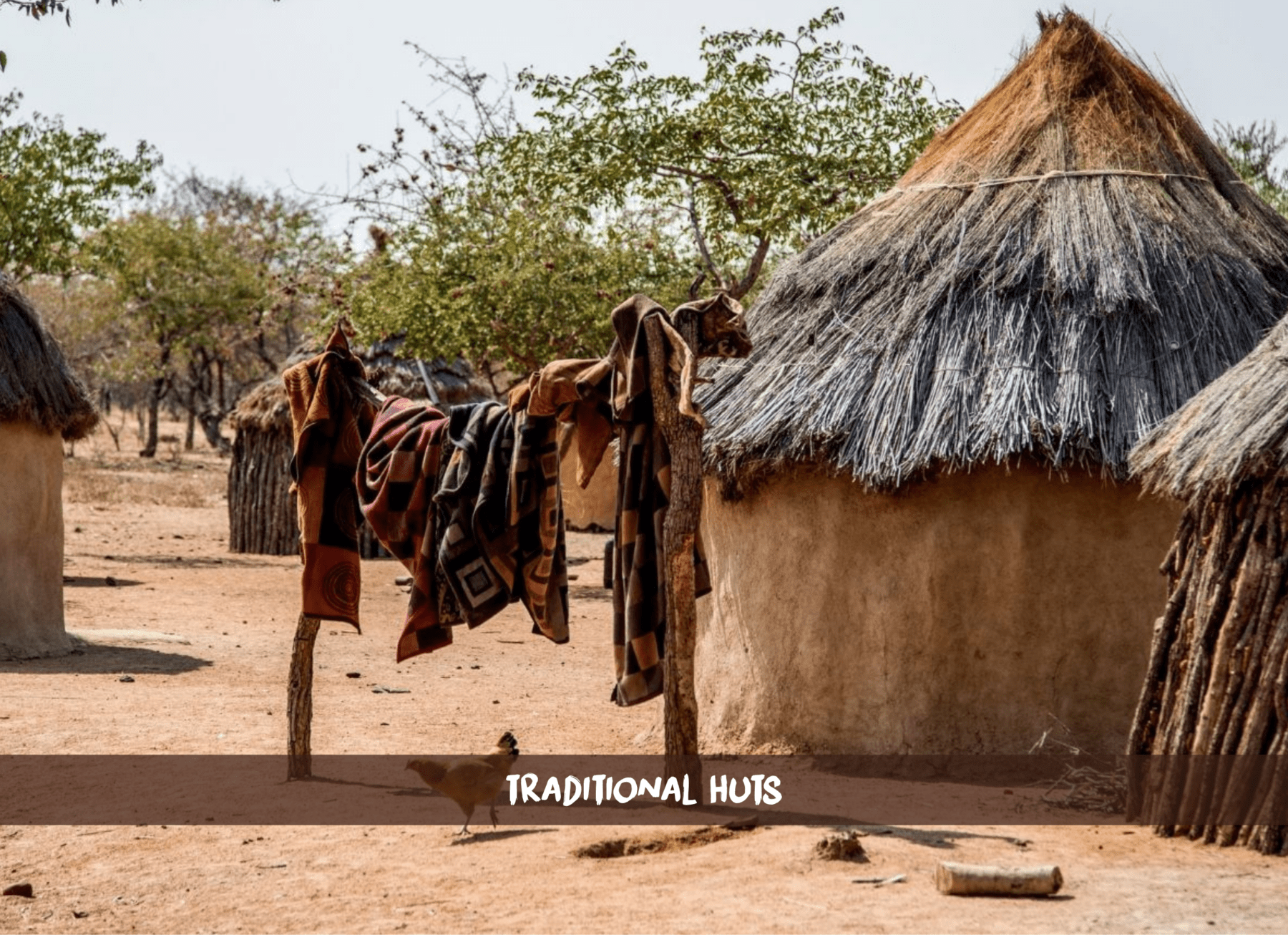 Plusieurs huttes rondes traditionnelles en chaume et en herbe dans un village Himba, avec du linge étendu et une poule au sol.