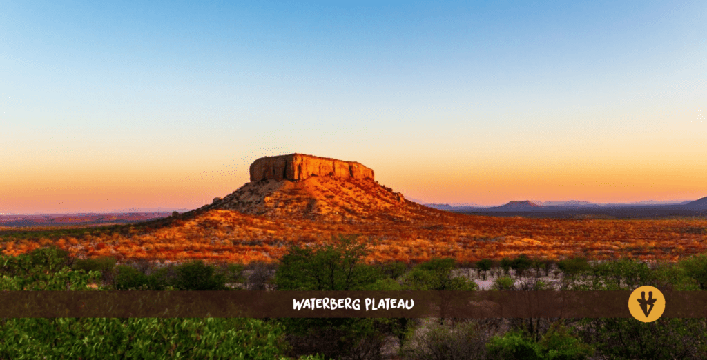 Waterberg Plateau Namibia with sunlit mountain and trees on the ground in front