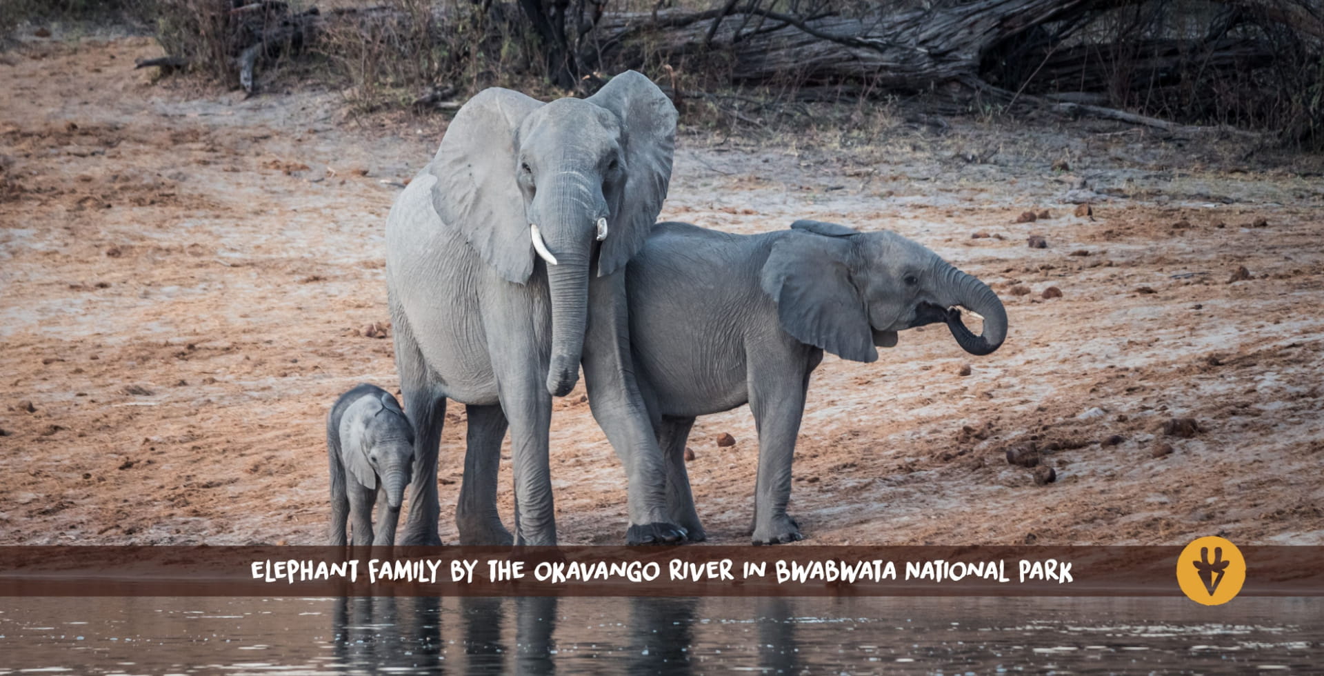 Parc national de Bwabwata