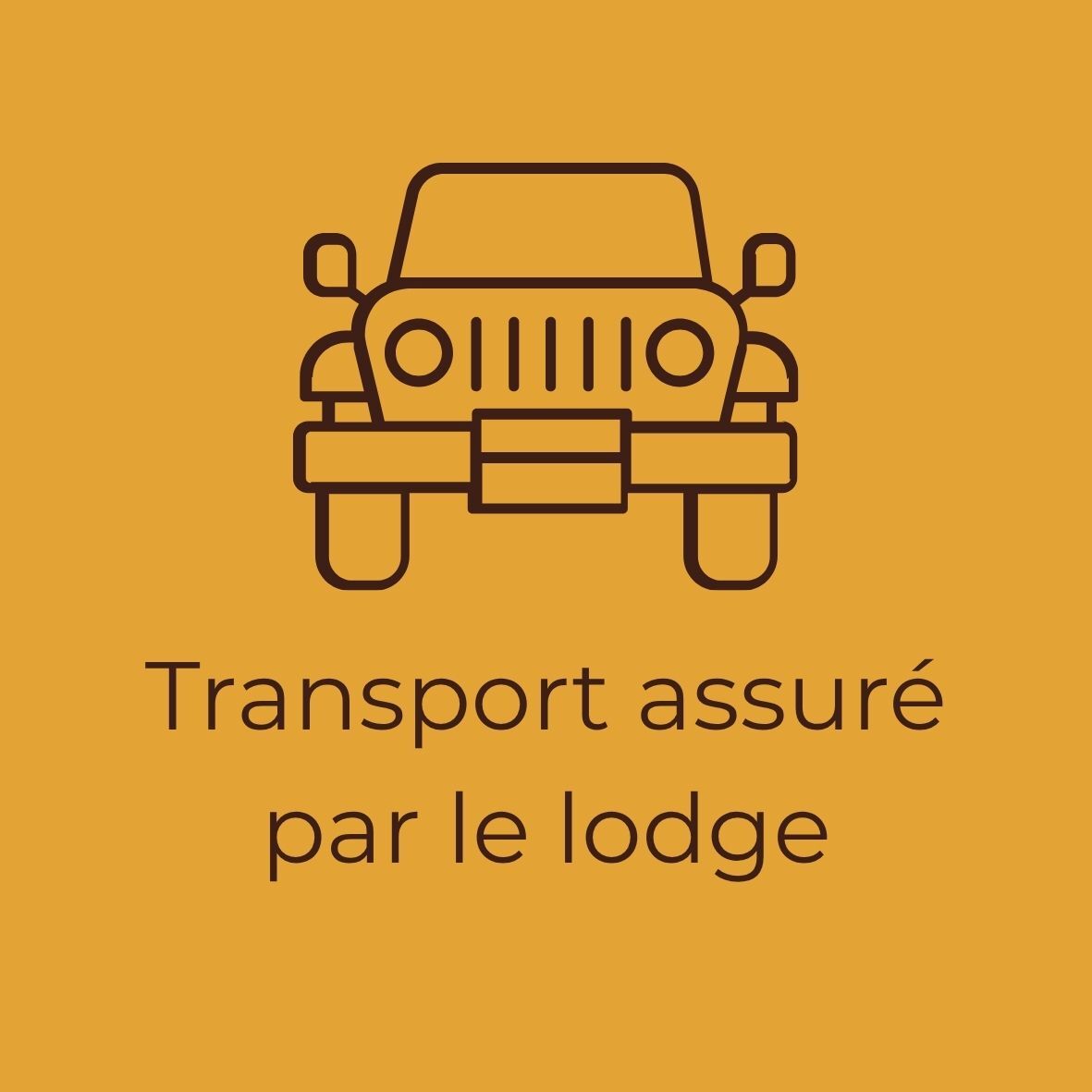 Use the lodge's transport