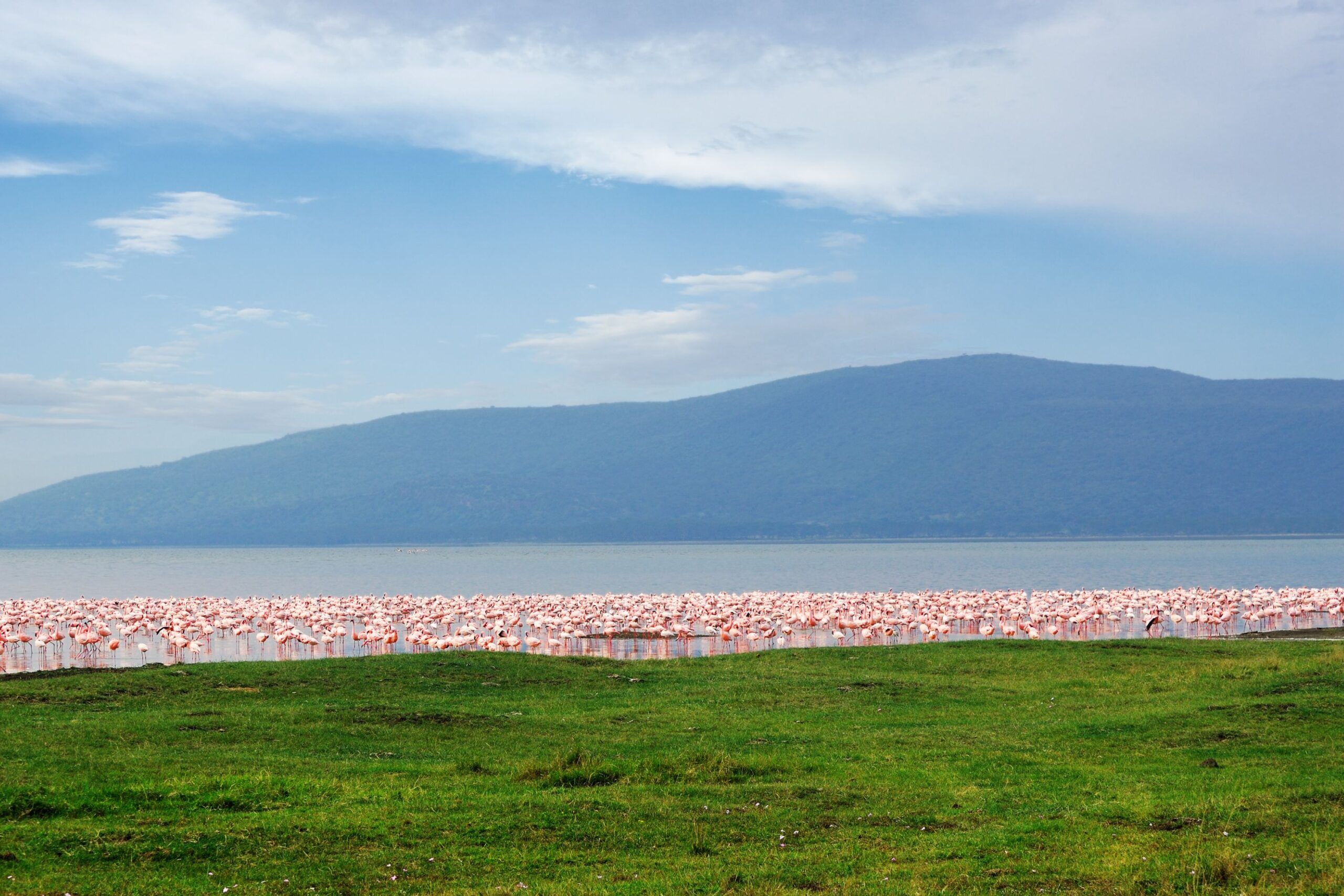 Lac Nakuru