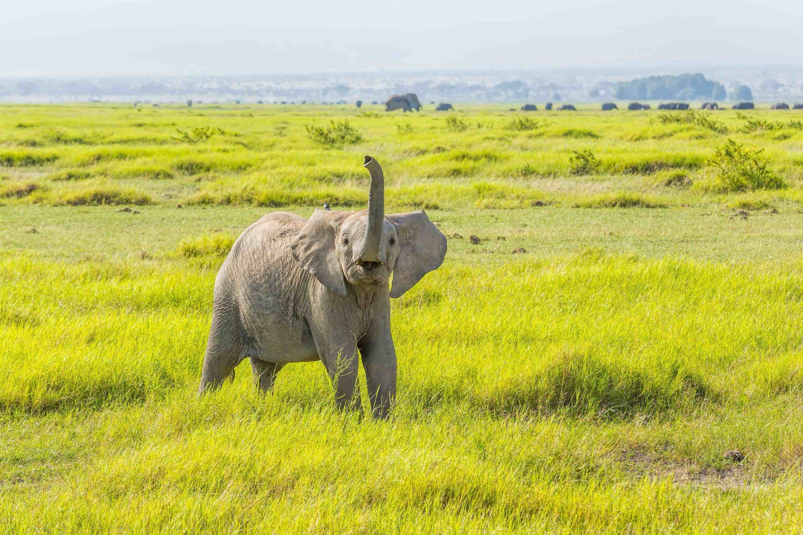 Retour en voiture à Entebbe