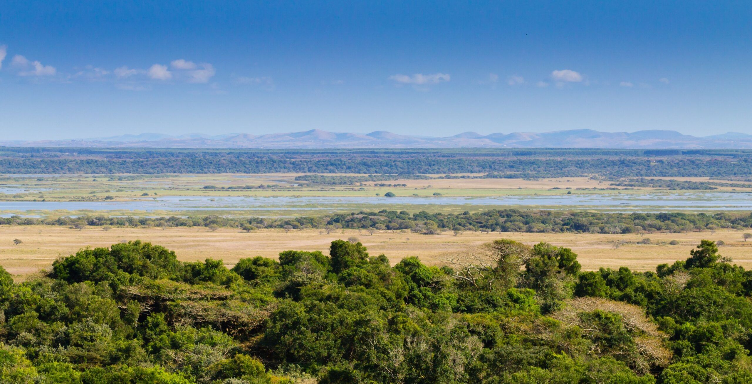 Parc d'iSimangaliso Wetland