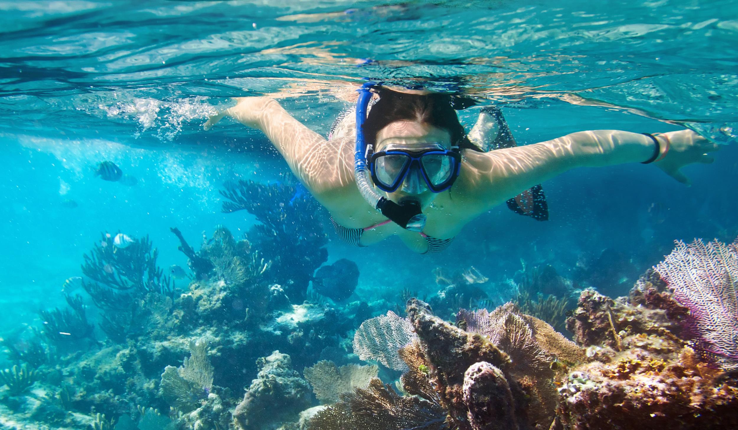 Plongée sous-marine à Diani