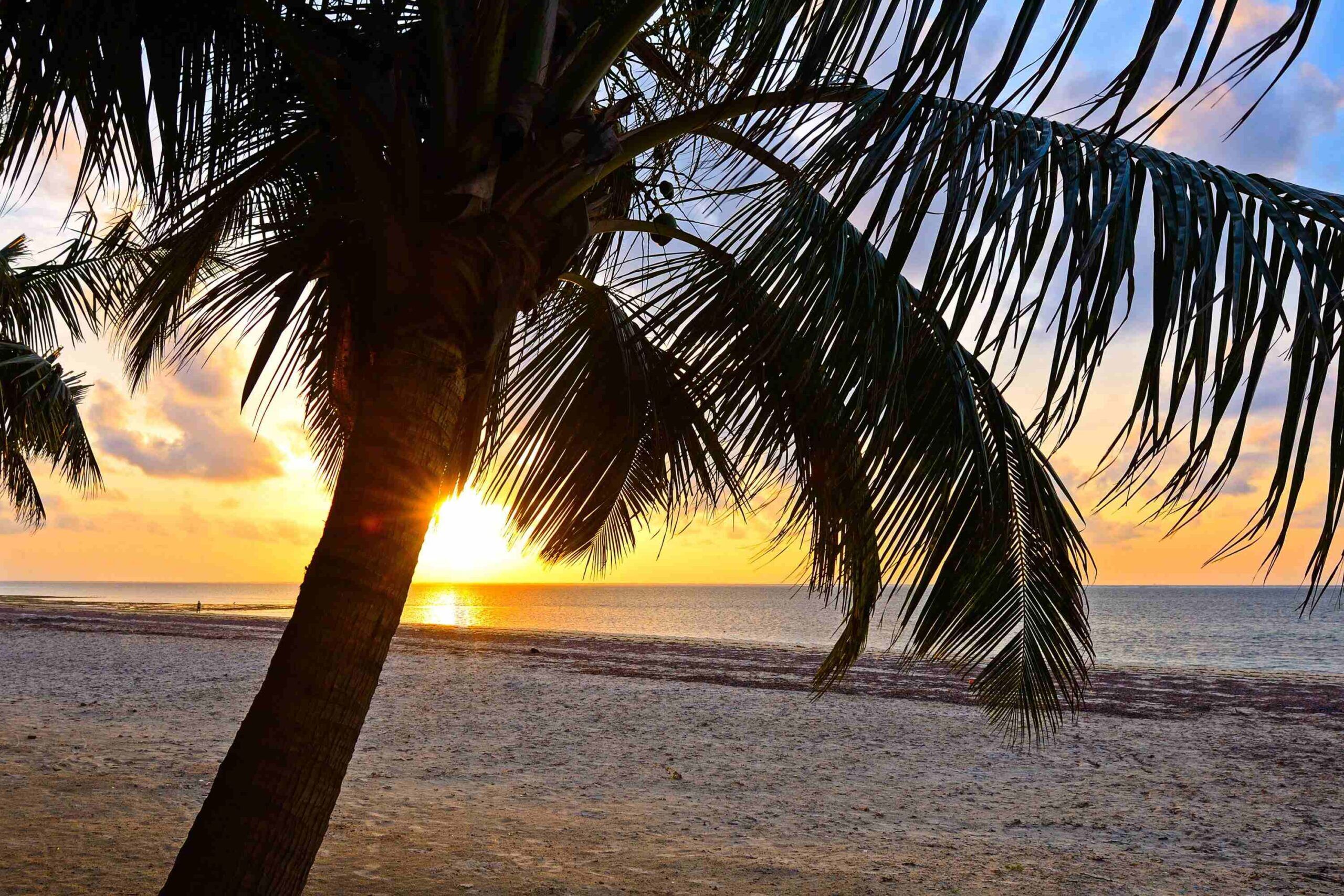 Plage et coucher de soleil à Diani