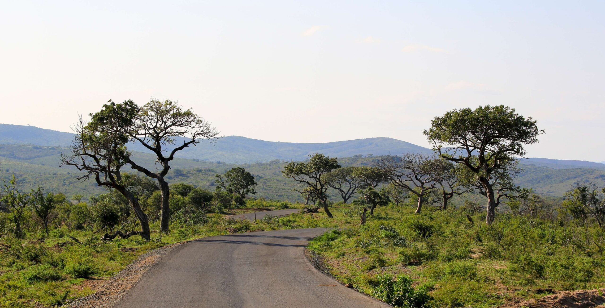 Trajet du sud des Drakensberg à la réserve d'Hluhluwe-iMfolozi