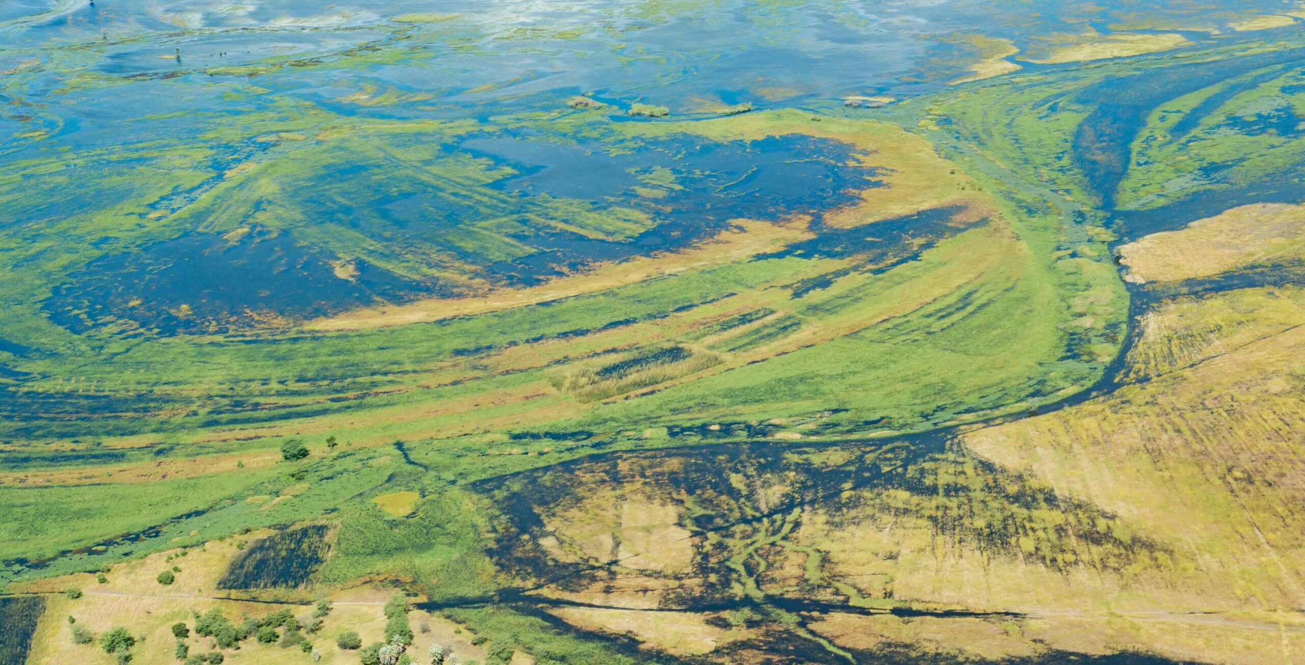 Vol de Savuti à Kasane