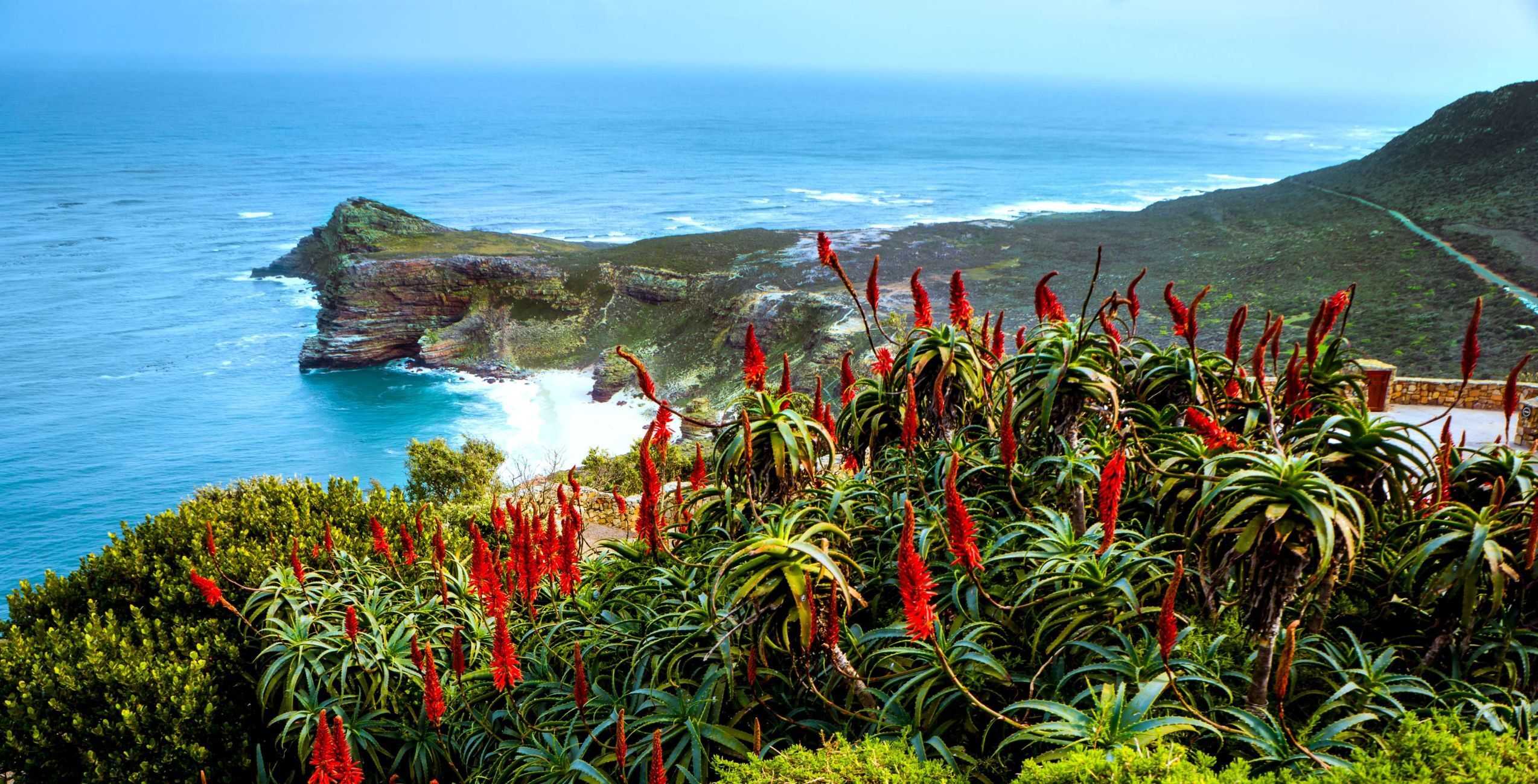 Visite du cap de Bonne-Espérance et de Cape Point au parc national de la montagne de la Table