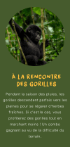 Gorillas incoming