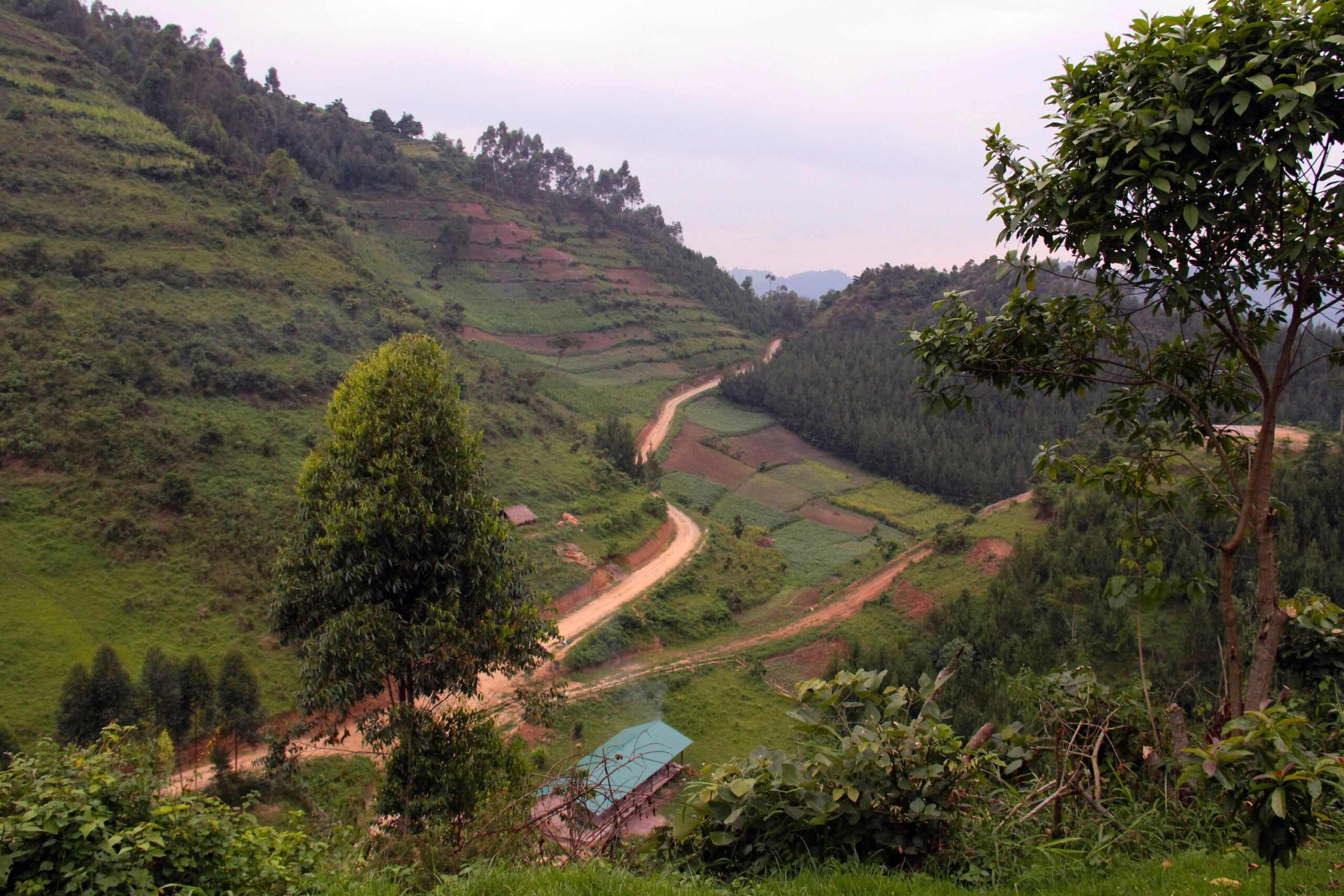 Trajet en voiture du parc national Queen Elizabeth au parc national de Bwindi Impenetrable
