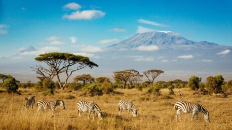 Voyage au Kenya, à Amboseli