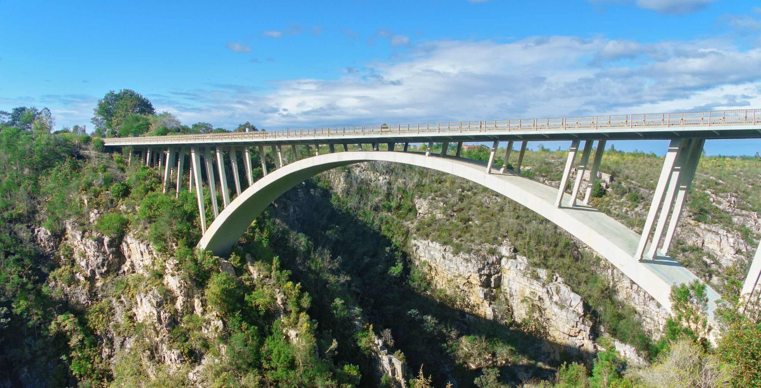 Trajet de Plettenberg Bay à Tsitsikamma