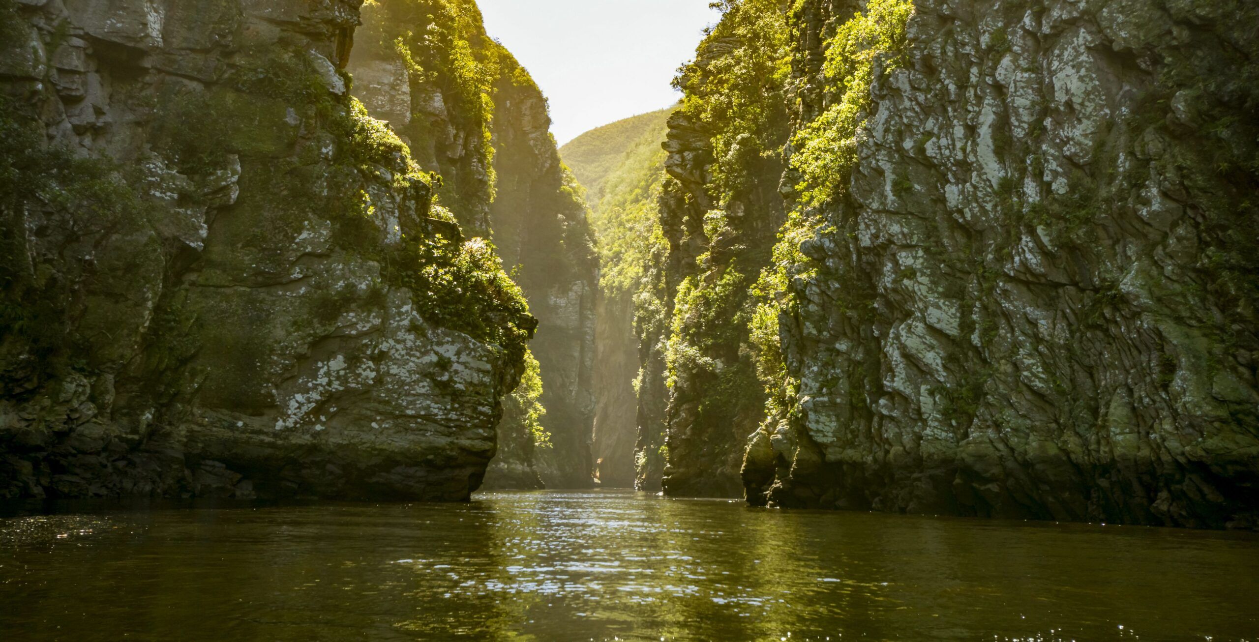 Parc national de Tsitsikamma