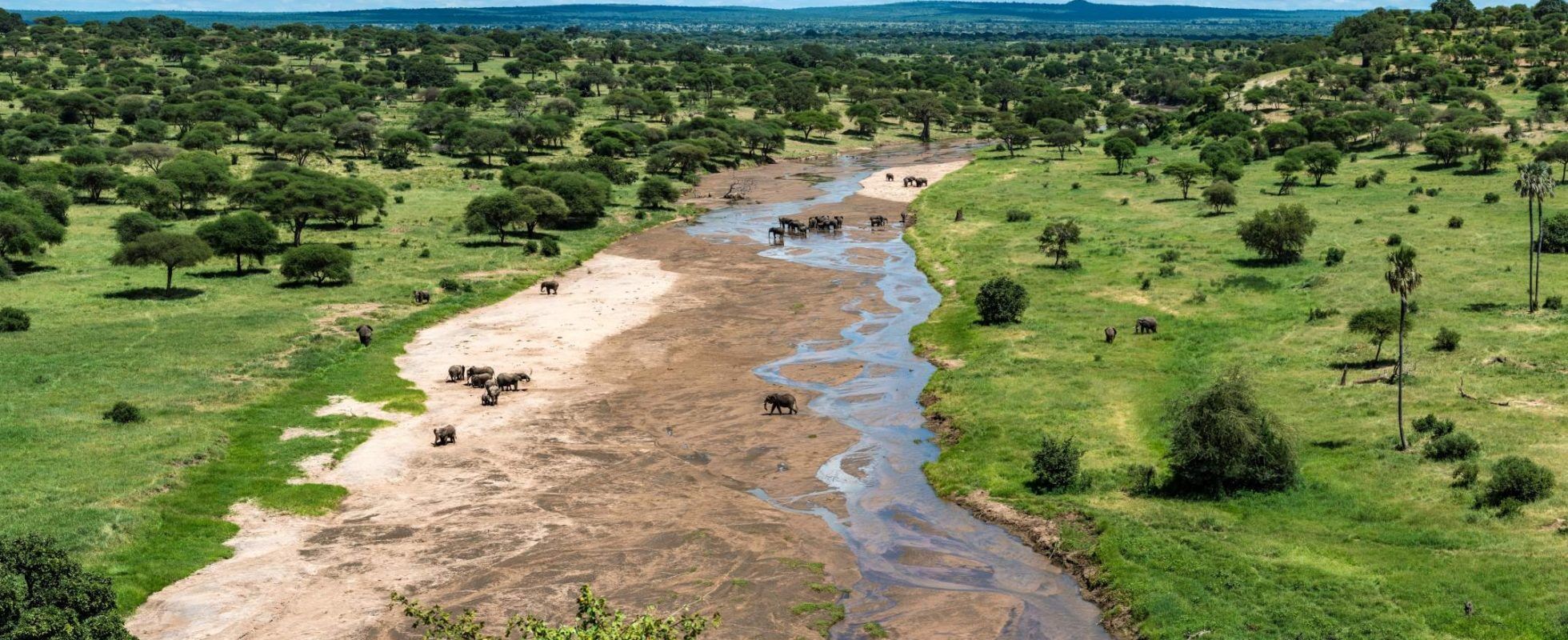 Vue aérienne lors d'un voyage en Ouganda