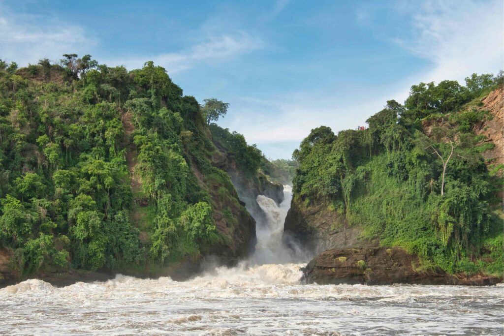 Cascades de Murchison Falls tombant à travers une gorge entourée d'arbres verts