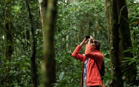 Touriste dans la forêt de Kibale