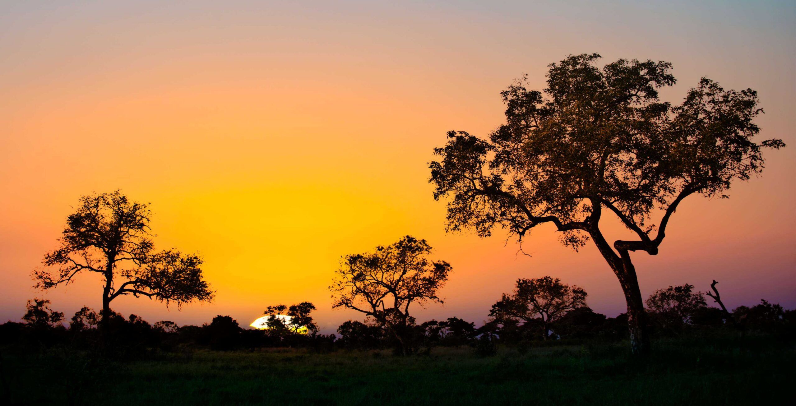 Trajet de Hazyview au parc national Kruger - Gate Paul Kruger