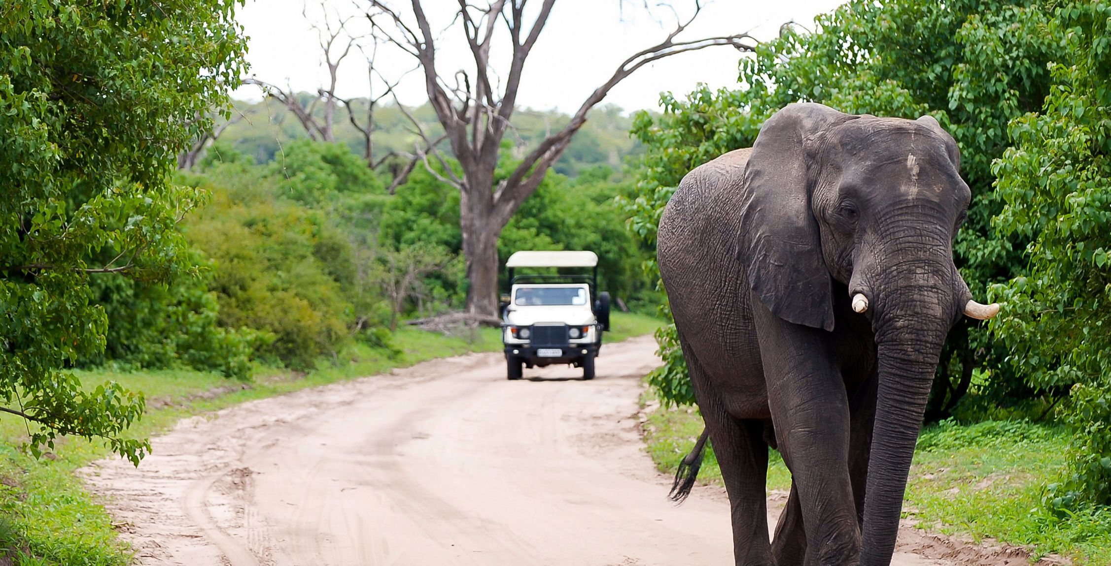 Conduire de Kasane au front de la rivière Chobe
