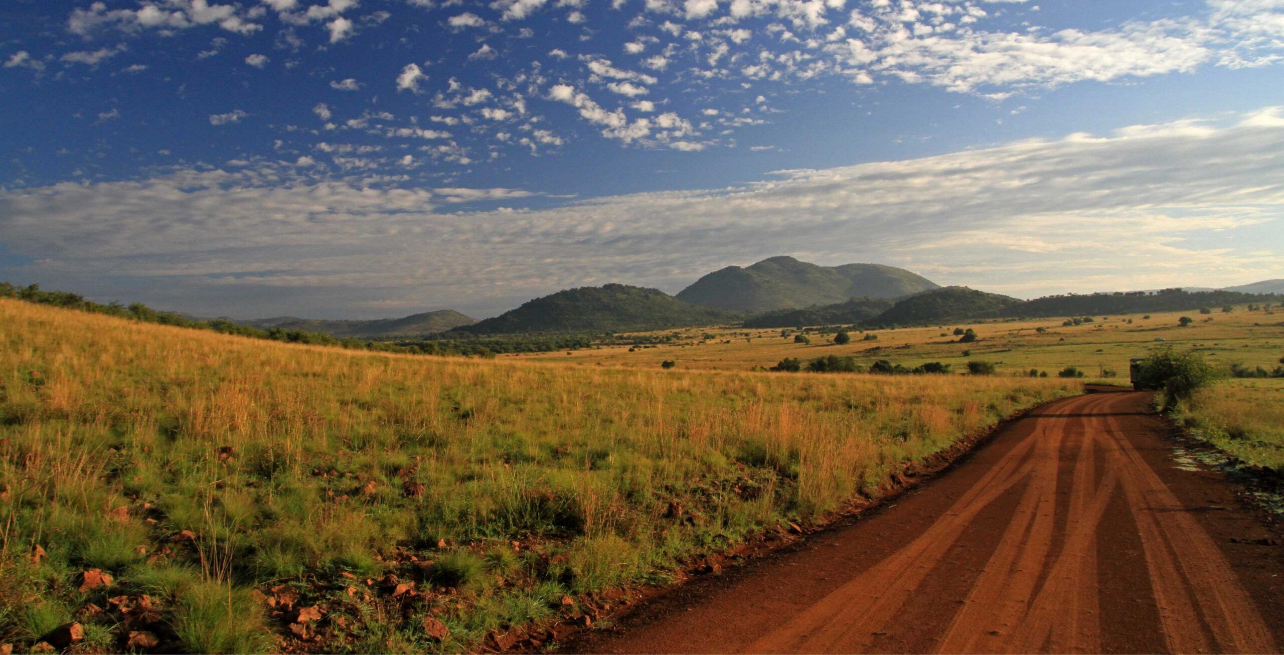 Parc national de Pilanesberg