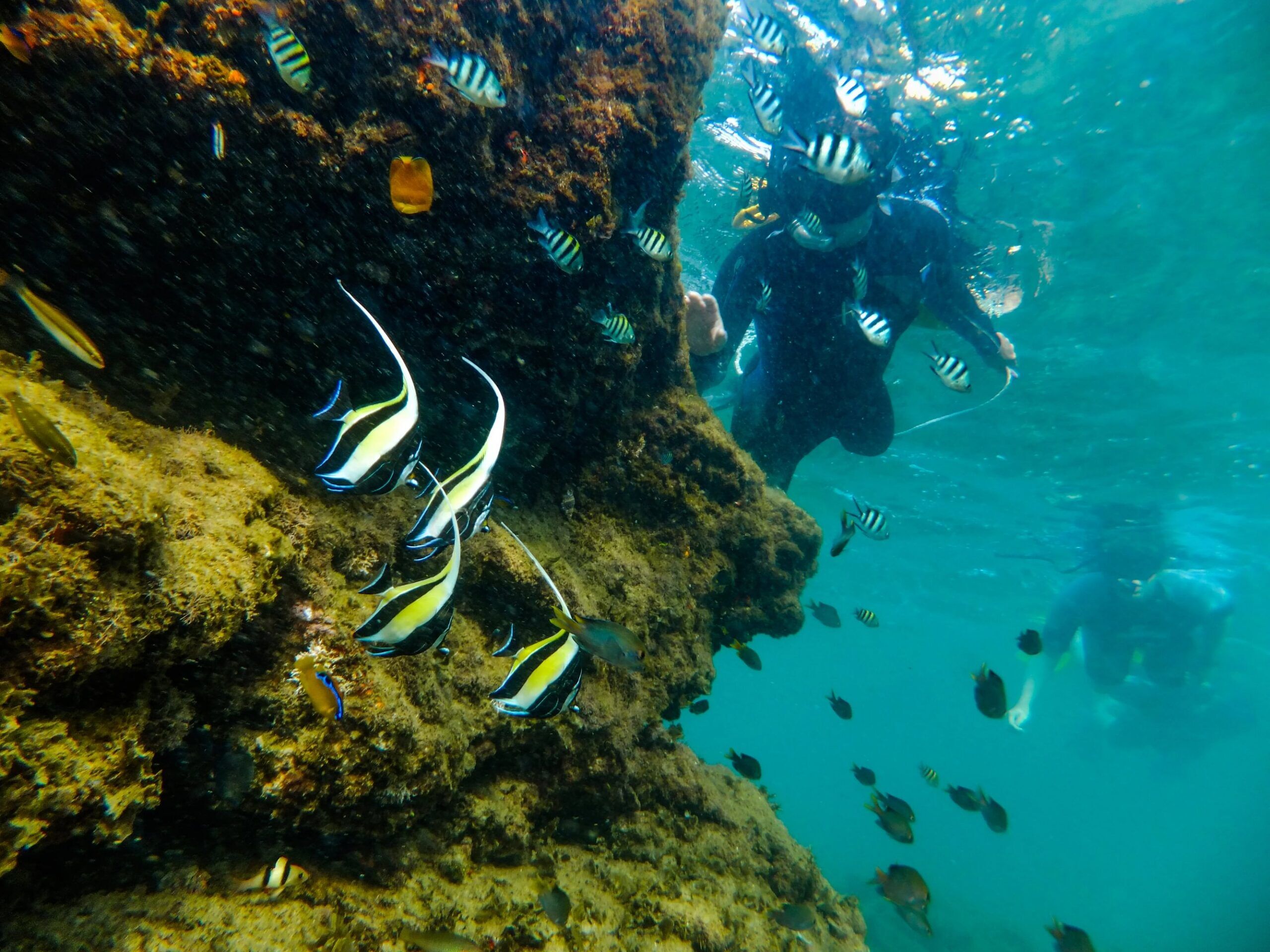 Snorkeling à Cape Vidal