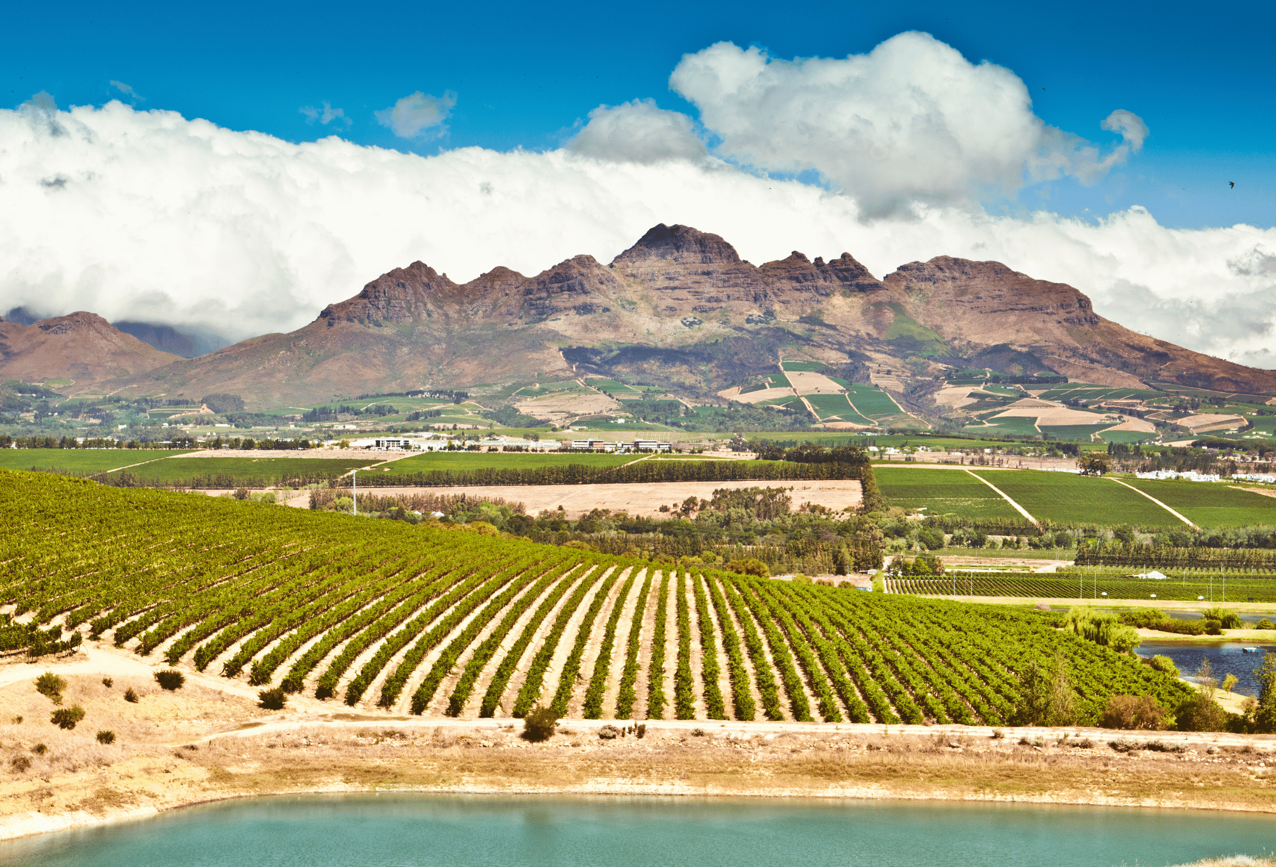 South-Africa_Winelands-II