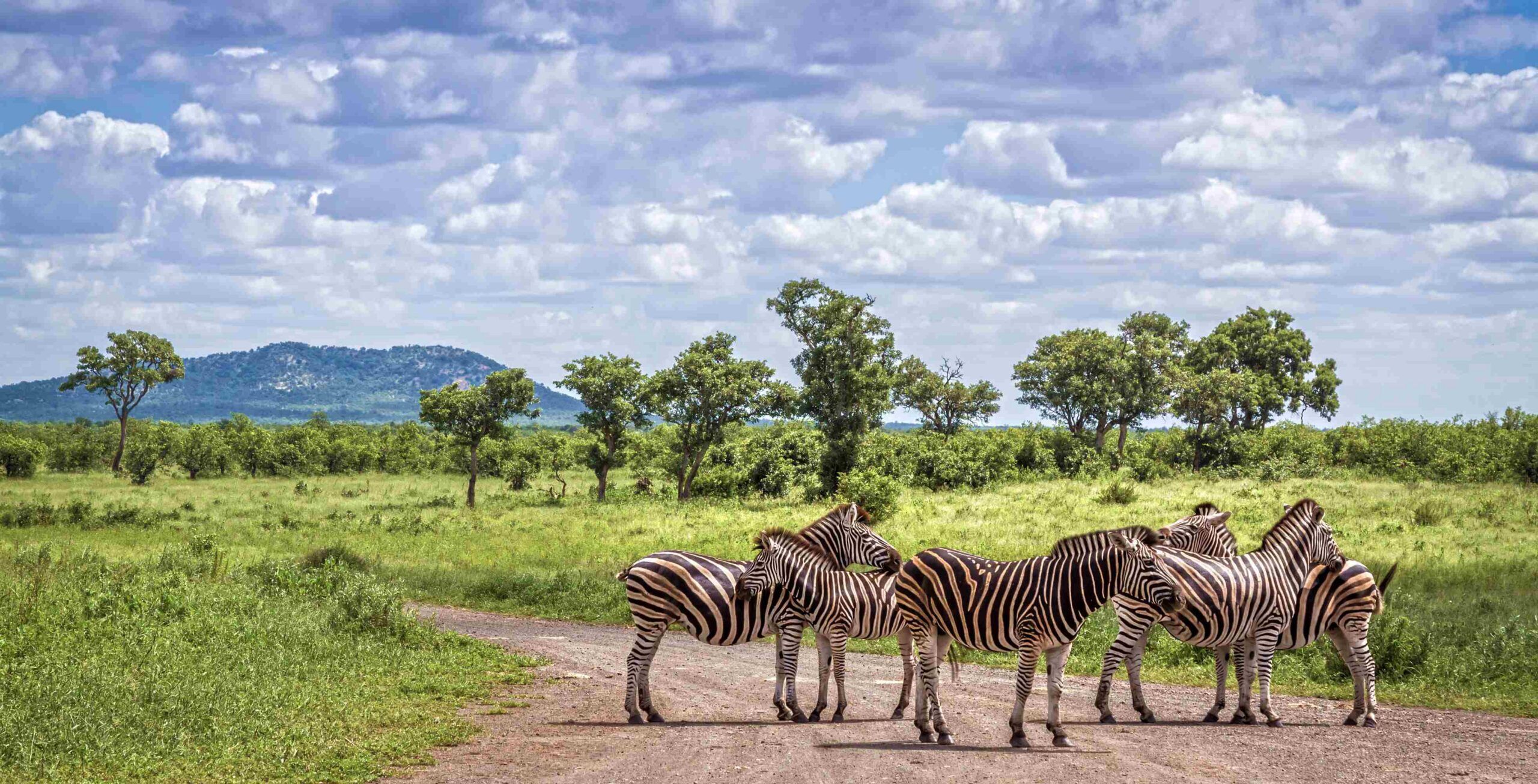 Parc national Kruger
