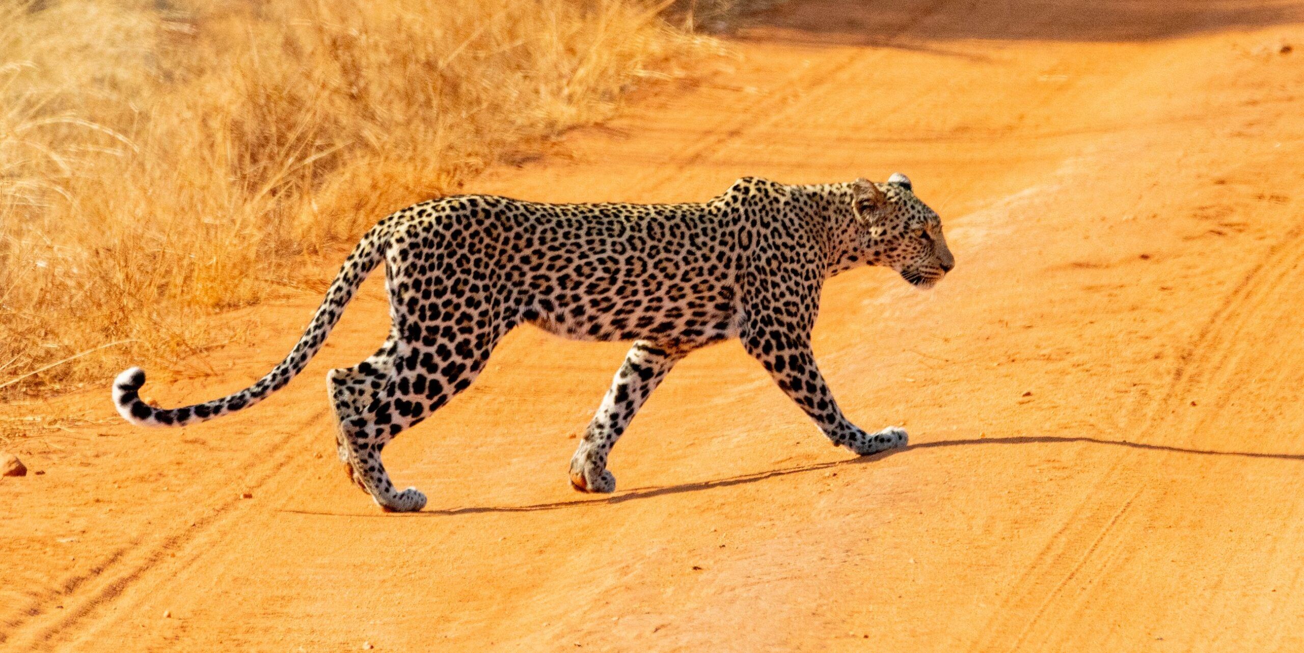 Parc national de Tsavo West