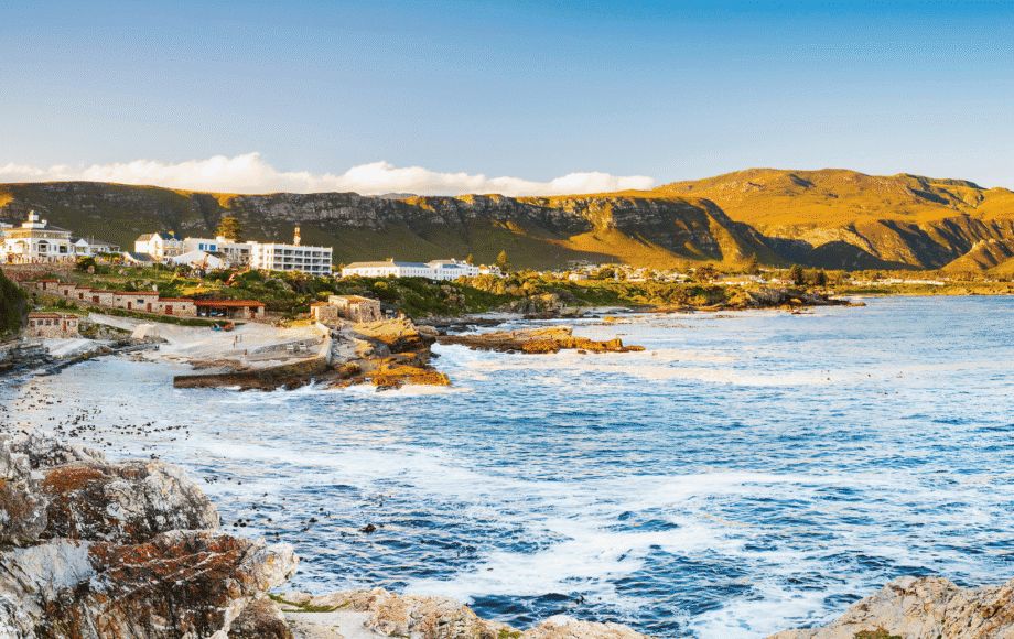 Observation d'une baleine au large des côtes d'Hermanus en Afrique du Sud