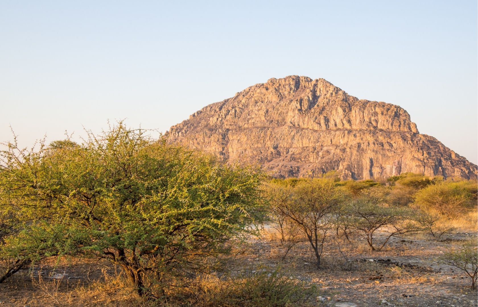 Rock of Tsodilo Hills with green trees in front