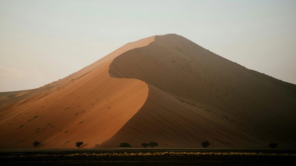 Les courbes sinueuses et les ombres marquées d'une dune de sable rouge à Sossusvlei, Namibie.