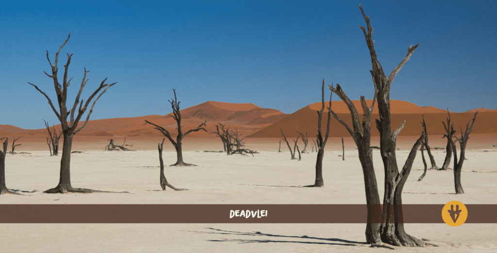 Deadvlei