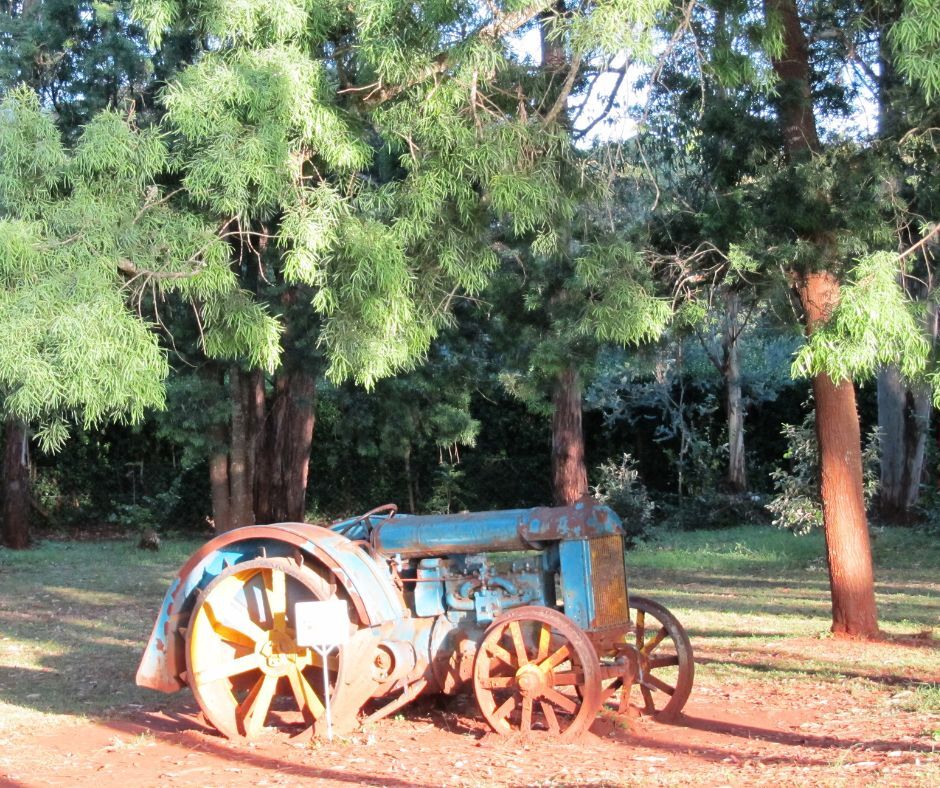 Musée Karen Blixen