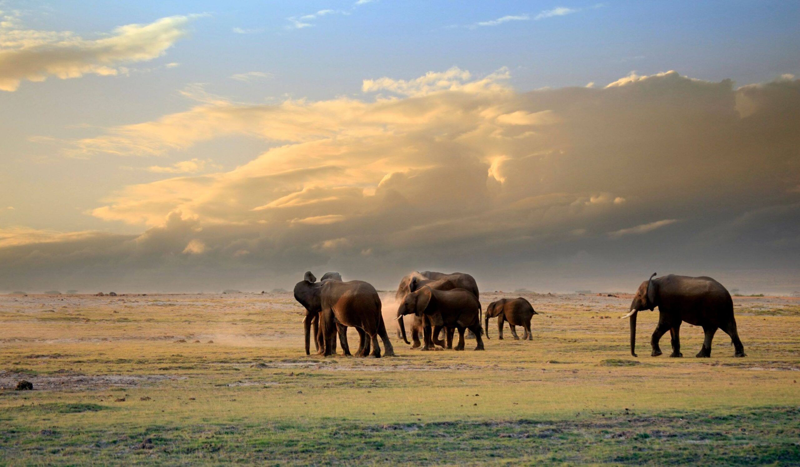 Parc National d'Amboseli